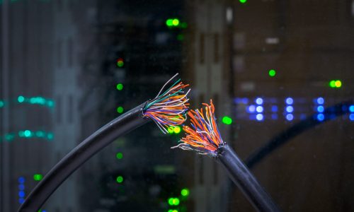 Cutting backbone cable. The problem is on the technical node. There is a damaged telephone Internet cable in the server room of the data center. Two broken pieces of telecommunication wire.