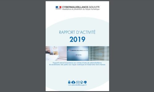 Sensibilisation aux risques numériques à destination des particuliers et des entreprises : Rapport 2019 Cybermalveillance.gouv.fr
