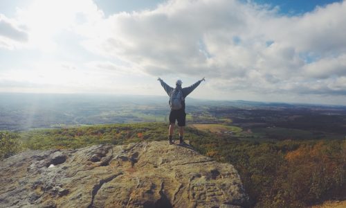 Harmonie reçoit le label créé par Les Echos « Les Champions de la Croissance 2019 »
